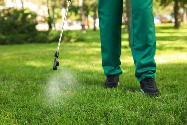 Best Termite Control Services  in Leonardtown, MD