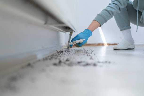 Best Bed Bug Extermination  in Leonardtown, MD